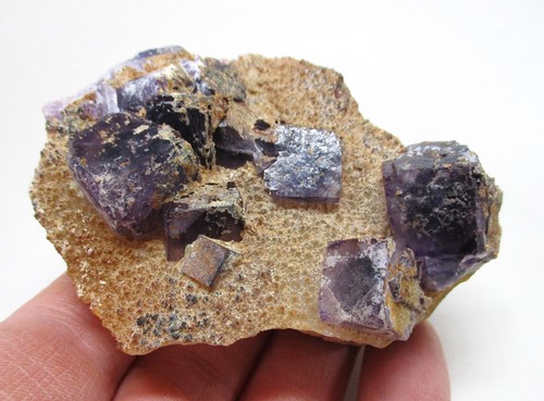 Fluorite xx - +++,