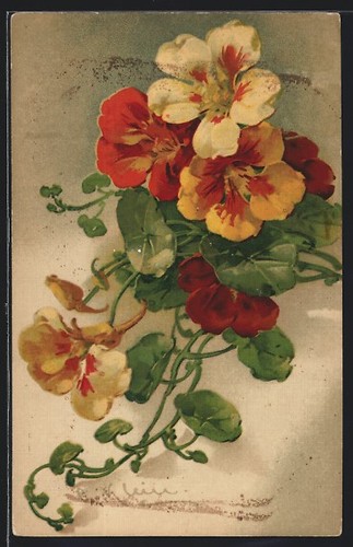 Cartolina artistica catharina - artistica,