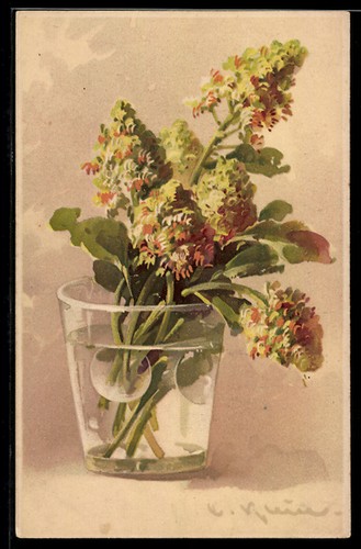 Cartolina artistica catharina - cartolina,