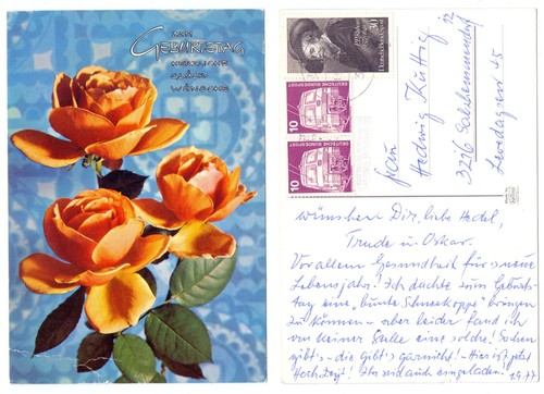 127112 rose arancioni - arancioni,