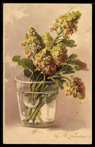 Cartolina artistica catharina - cartolina,